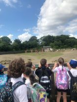 Our School Tour to Dublin Zoo