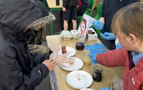 Science Fair 