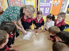 Snow in Ms. O'Gara's Class!
