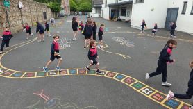 Teddy Bears Go for Gold at the Belmont Olympics!