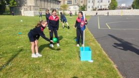 Throw Golf Fun!