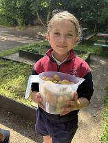 Potato Party in Ms Finnegan’s 1st class 