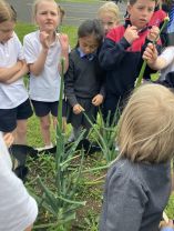 Mary Bishop from GIY and Una Kelly from RTE Radio 1 Drivetime interview some children about the school garden