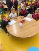 5th class Buddy visit