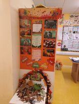 Halloween in Junior Infants 🎃 