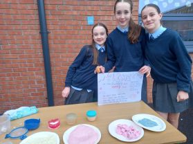 Science Fair in Ms. Greene\'s 6th class