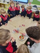 Science Week Fun With Skittles!