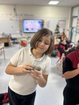 Christmas Gnomes 🎄