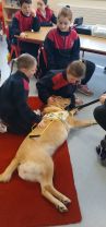 Holly the guide dog